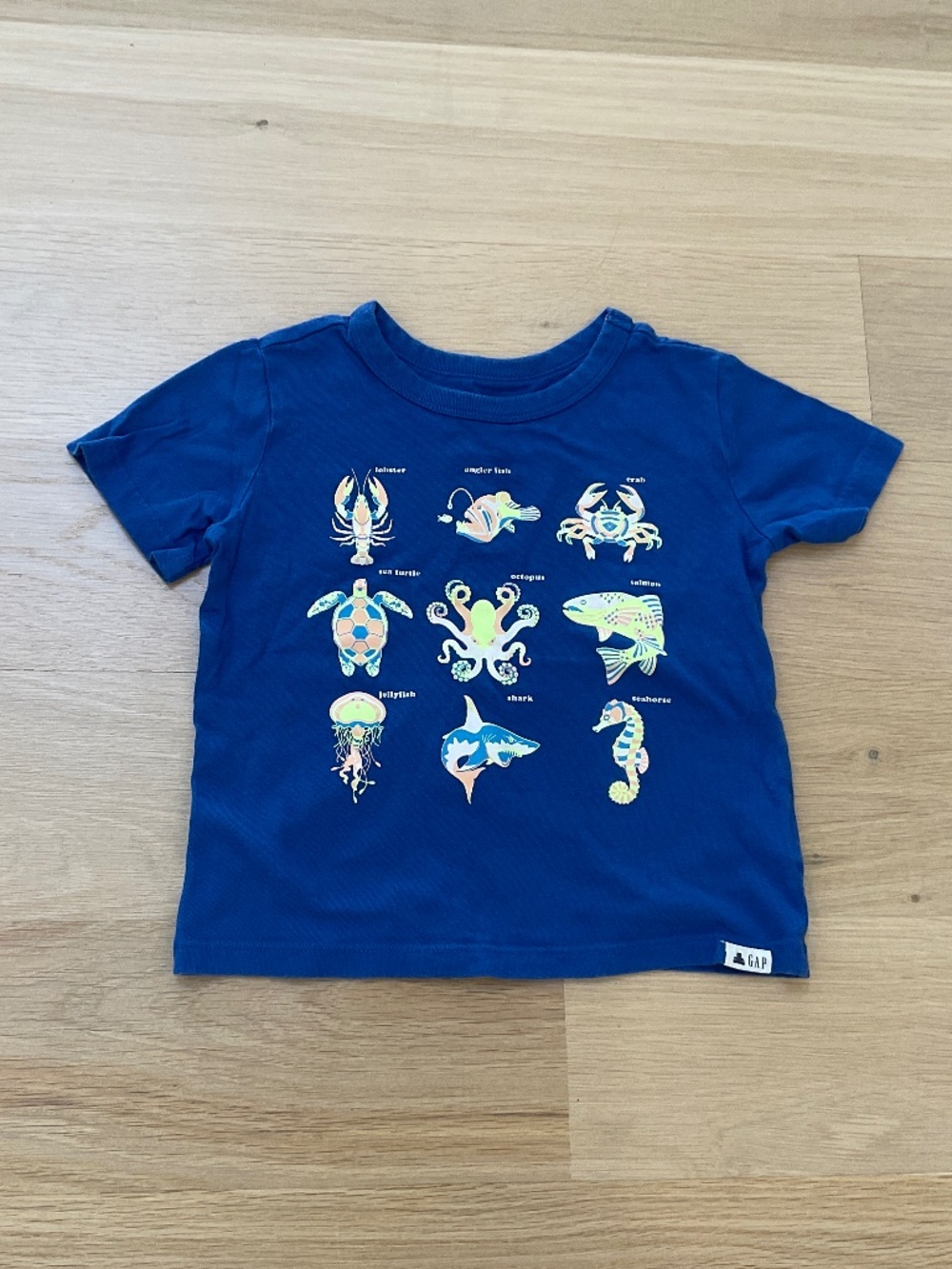 EUC Gap Boy Shirt